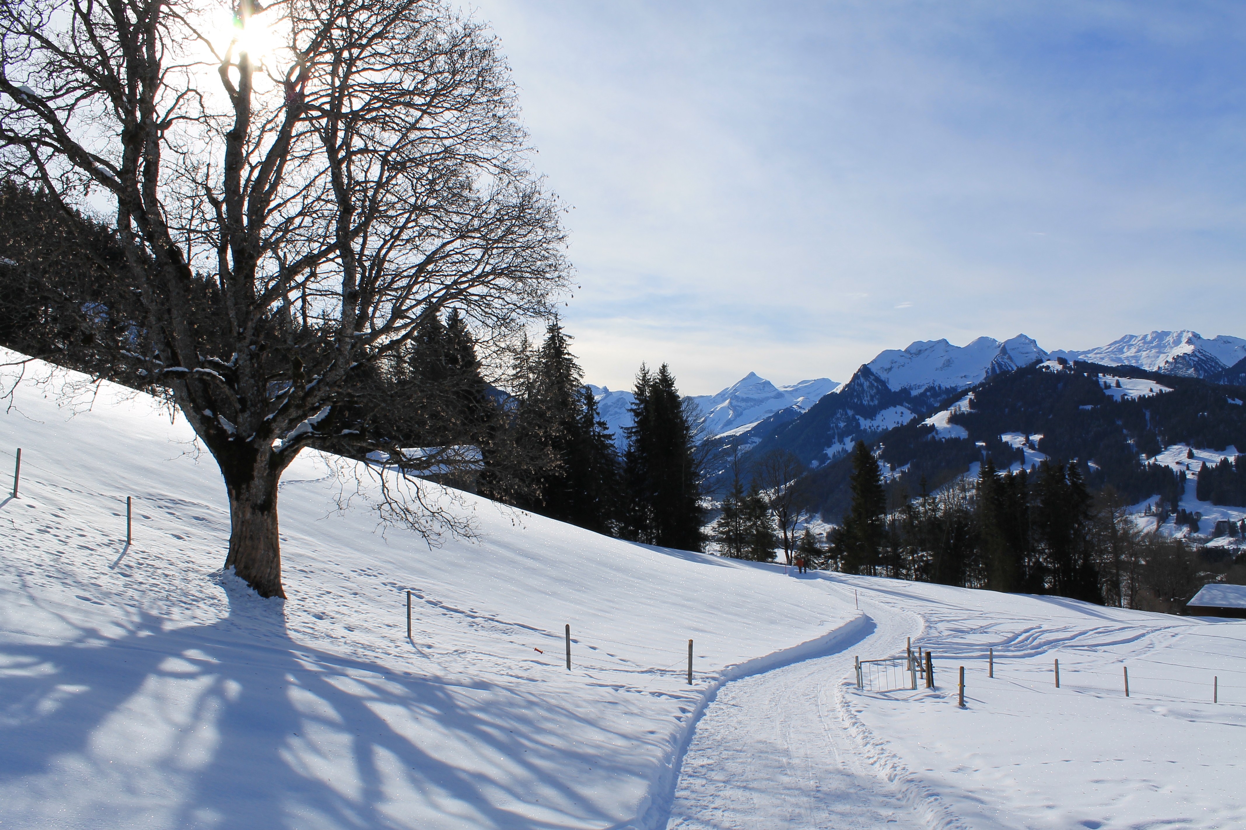 Alpine Balloon & Gstaad Day Trip