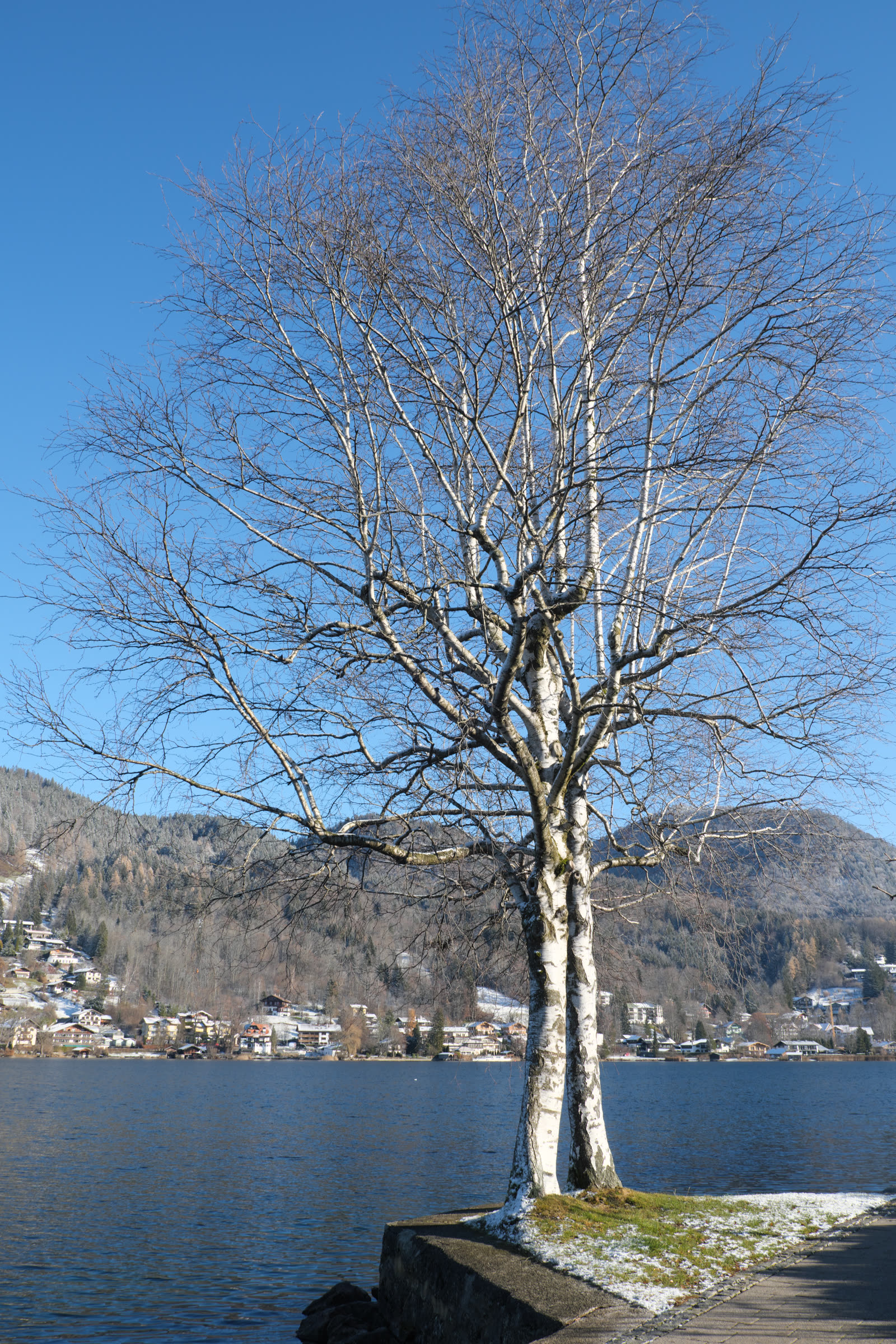 Zurich → Rottach-Egern · Tegernsee