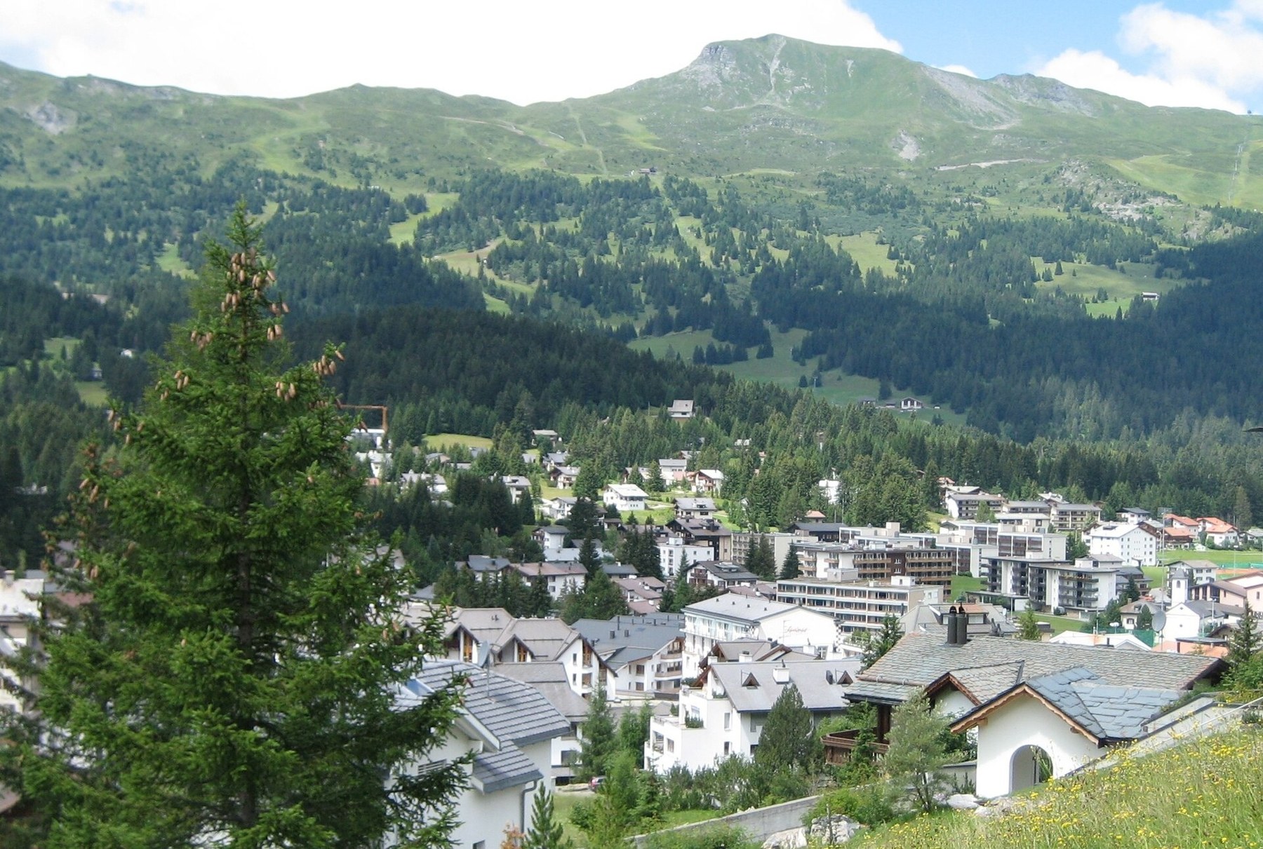 Zurich → Lenzerheide · Ski & Alpine Escape